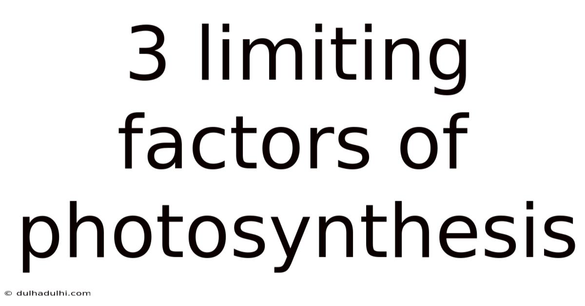 3 Limiting Factors Of Photosynthesis