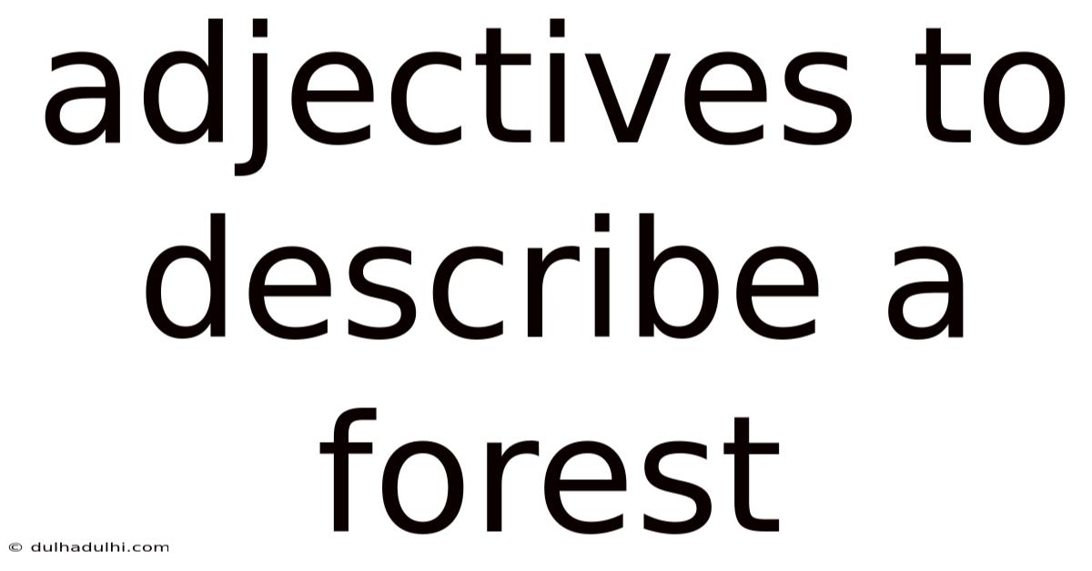 Adjectives To Describe A Forest