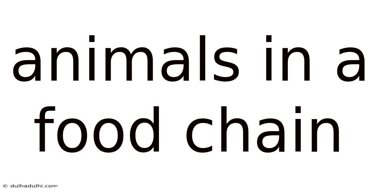 Animals In A Food Chain
