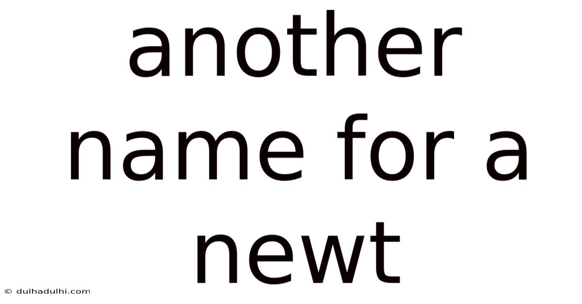Another Name For A Newt
