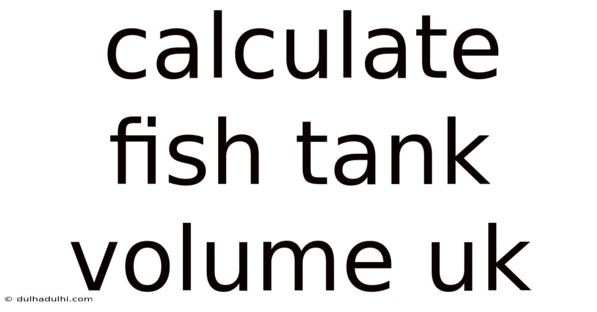 Calculate Fish Tank Volume Uk