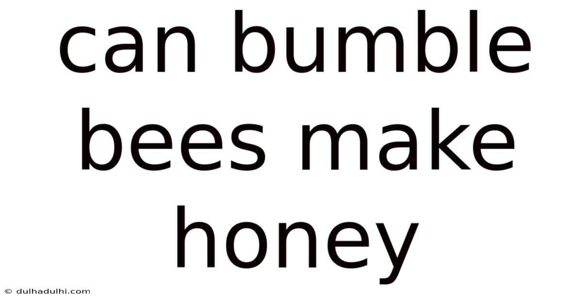 Can Bumble Bees Make Honey