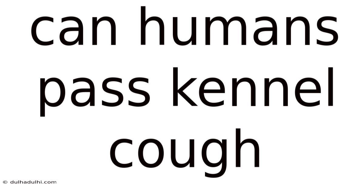 Can Humans Pass Kennel Cough
