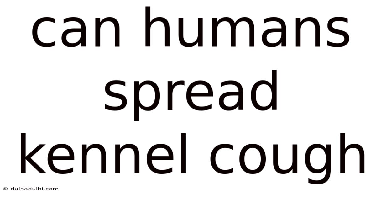 Can Humans Spread Kennel Cough