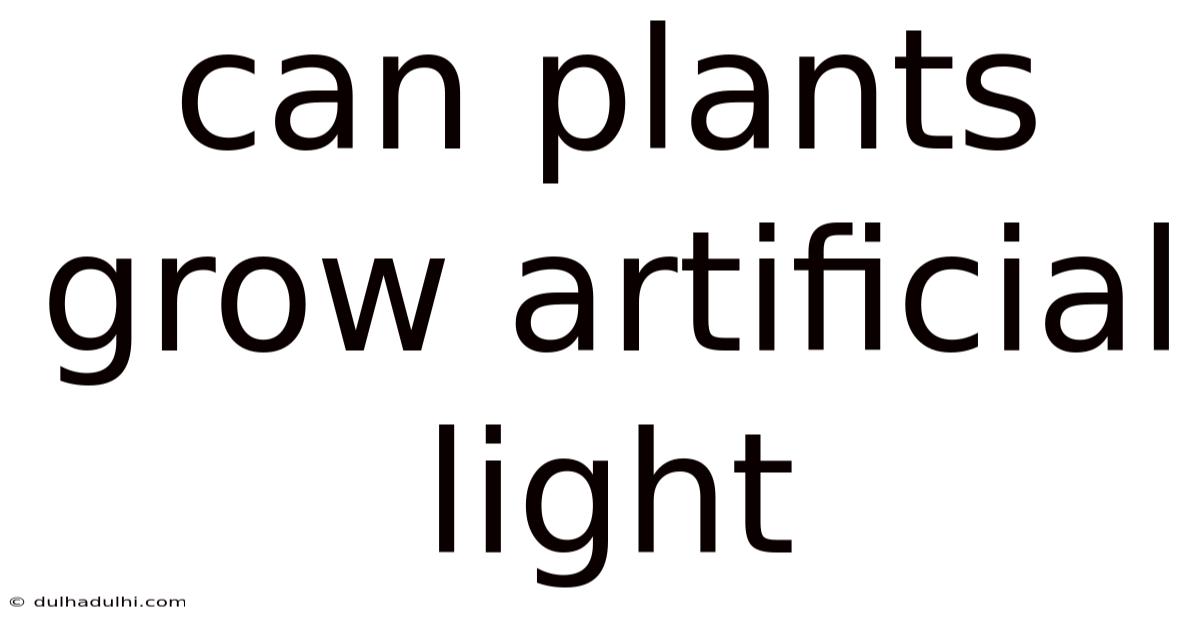 Can Plants Grow Artificial Light