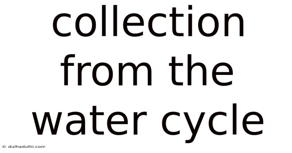 Collection From The Water Cycle