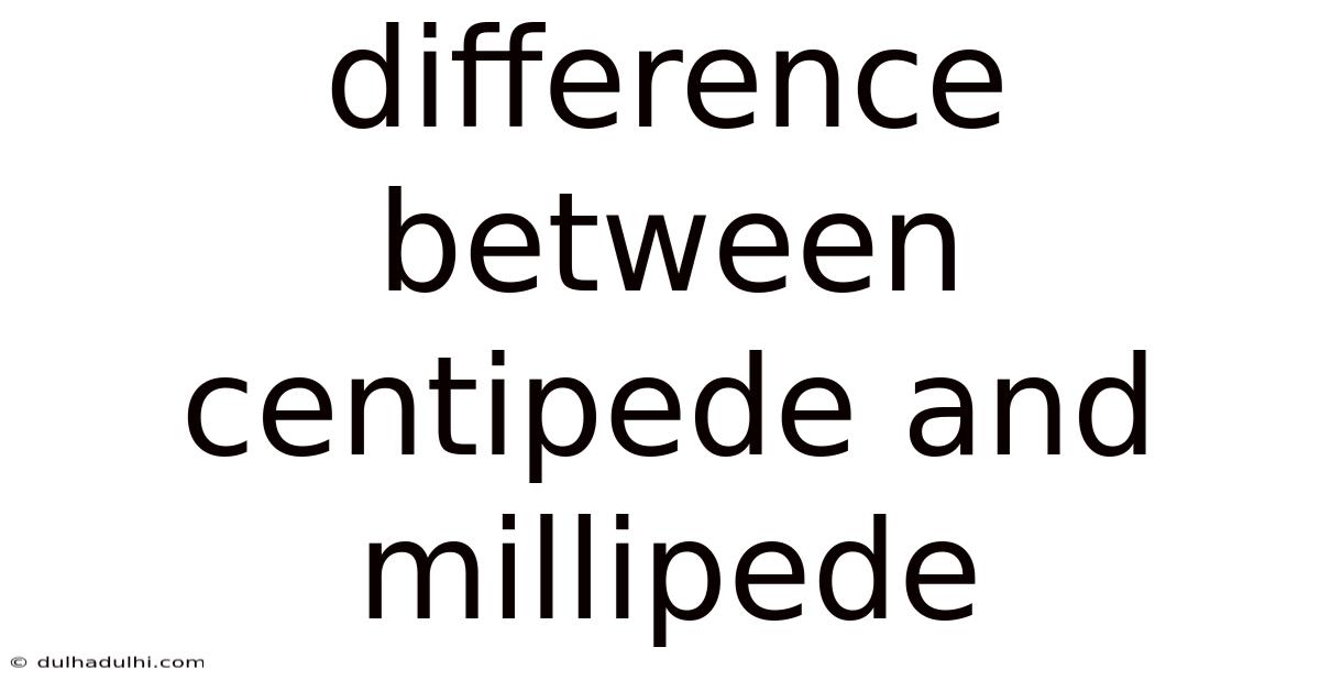 Difference Between Centipede And Millipede