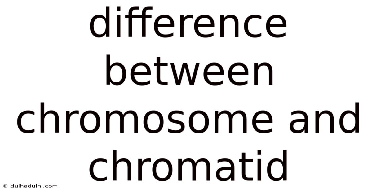 Difference Between Chromosome And Chromatid