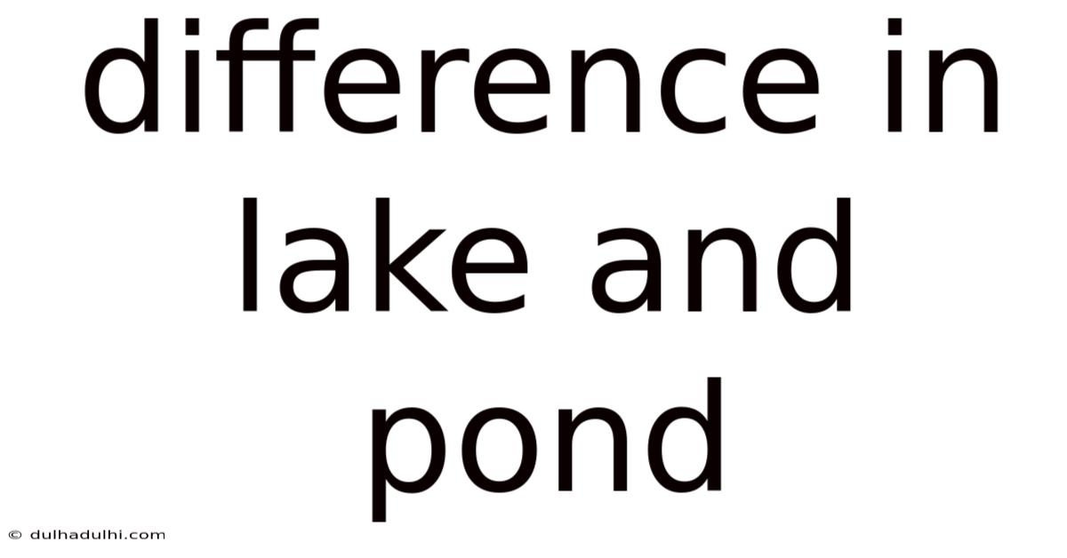 Difference In Lake And Pond