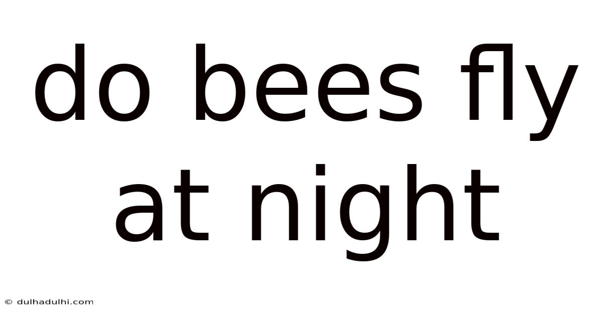 Do Bees Fly At Night