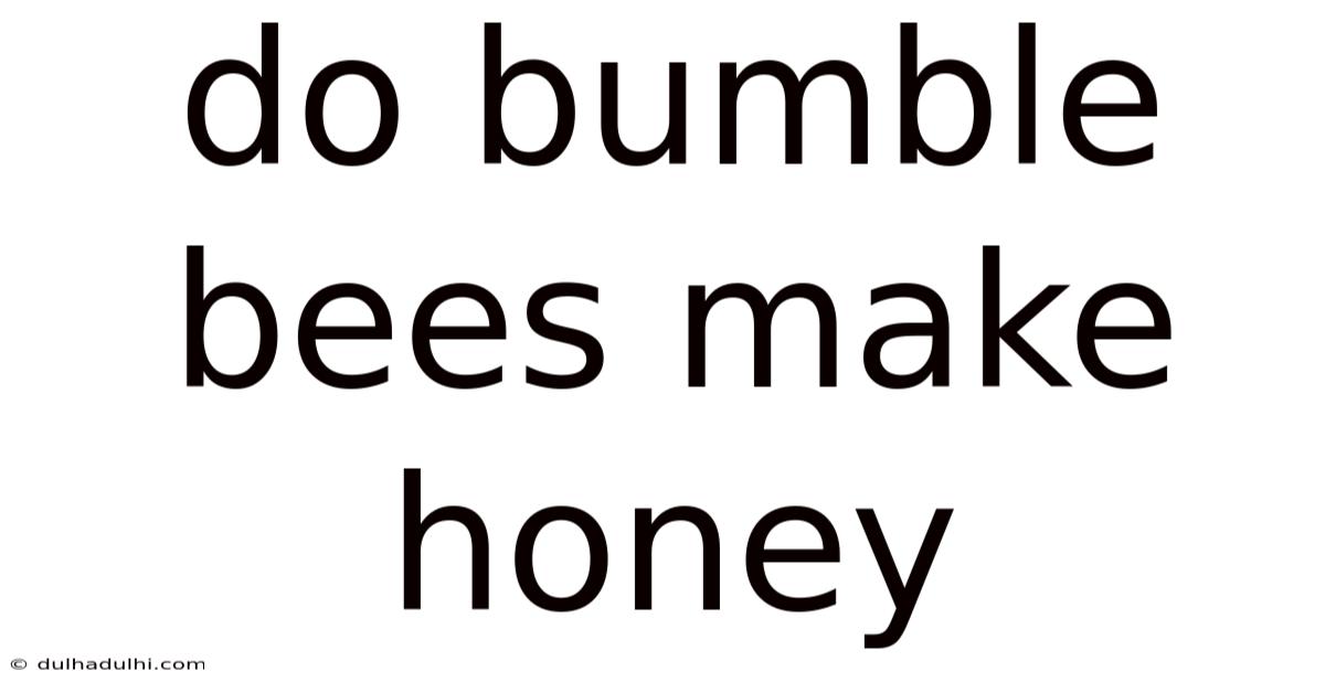 Do Bumble Bees Make Honey