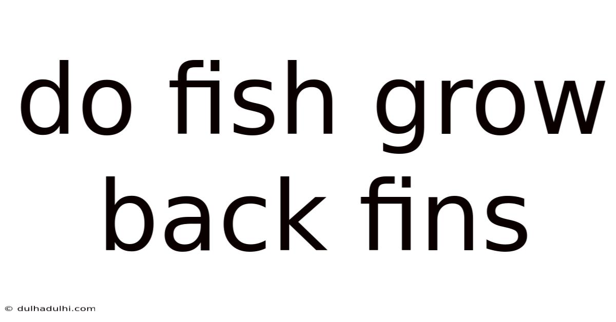 Do Fish Grow Back Fins