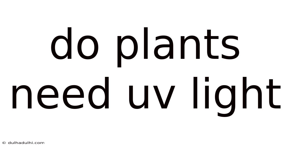 Do Plants Need Uv Light