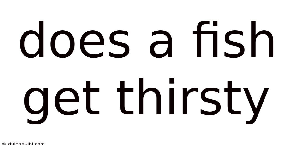 Does A Fish Get Thirsty