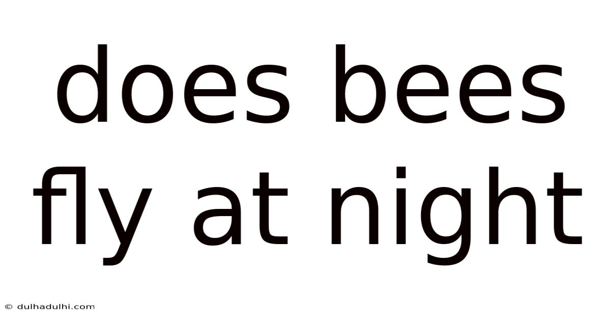 Does Bees Fly At Night