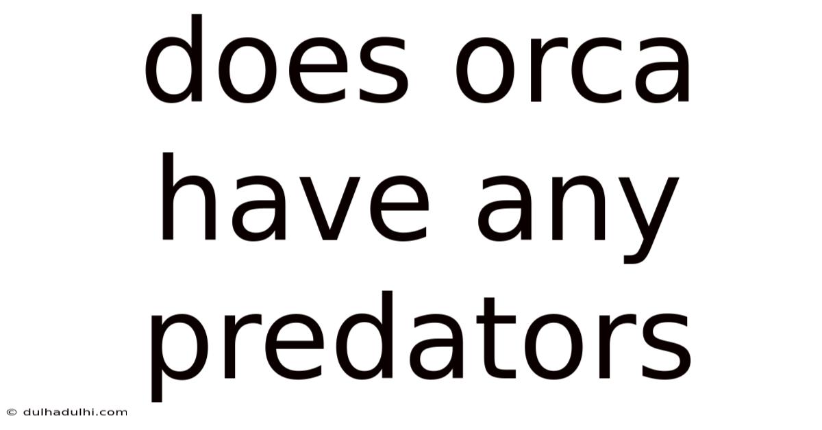 Does Orca Have Any Predators