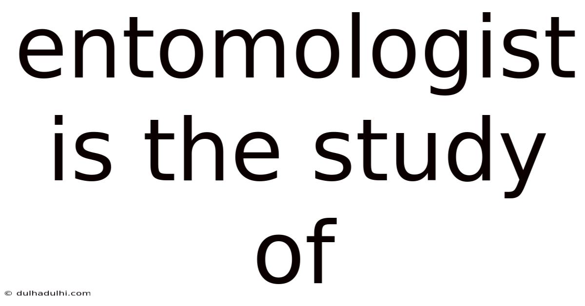 Entomologist Is The Study Of
