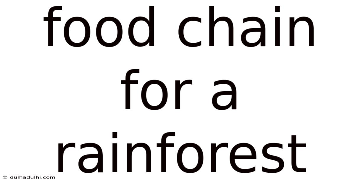 Food Chain For A Rainforest