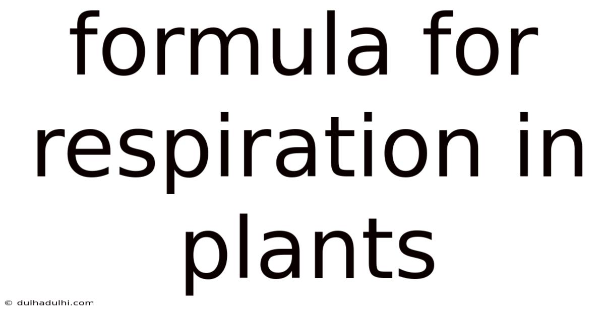 Formula For Respiration In Plants