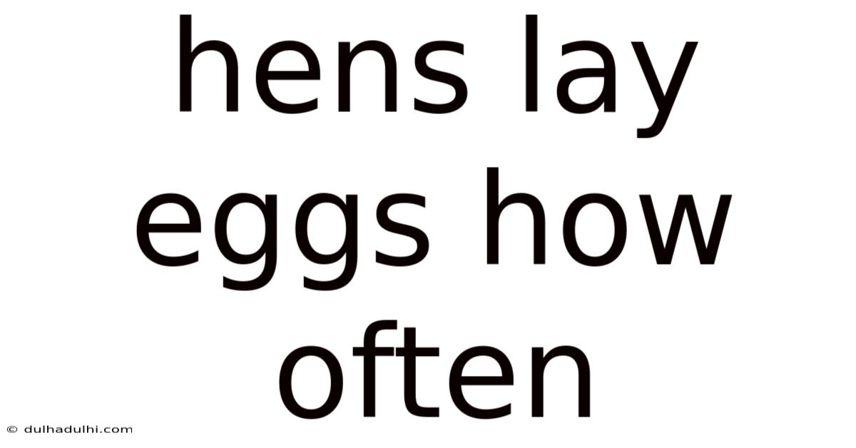 Hens Lay Eggs How Often
