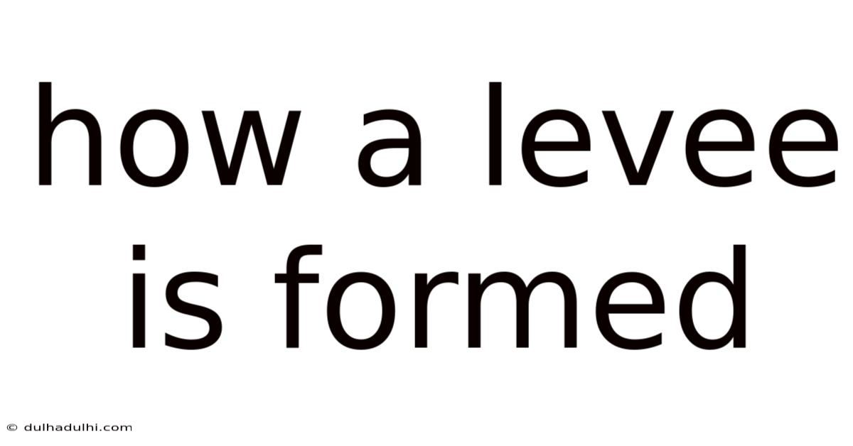How A Levee Is Formed