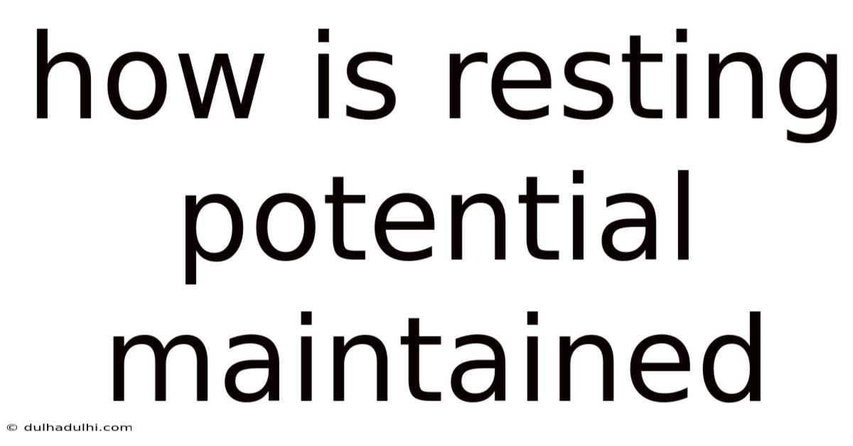 How Is Resting Potential Maintained