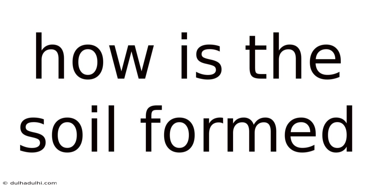 How Is The Soil Formed