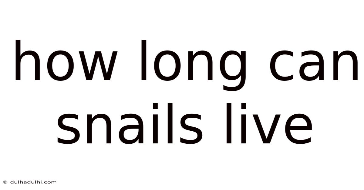 How Long Can Snails Live