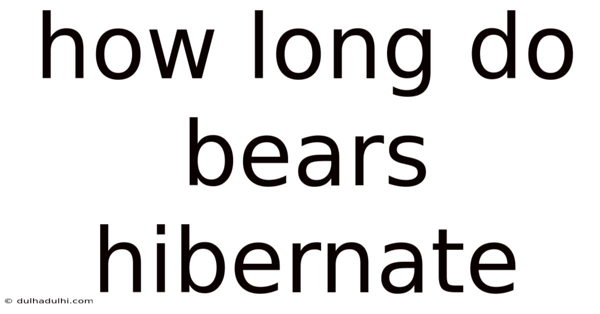 How Long Do Bears Hibernate