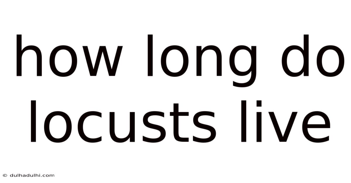 How Long Do Locusts Live