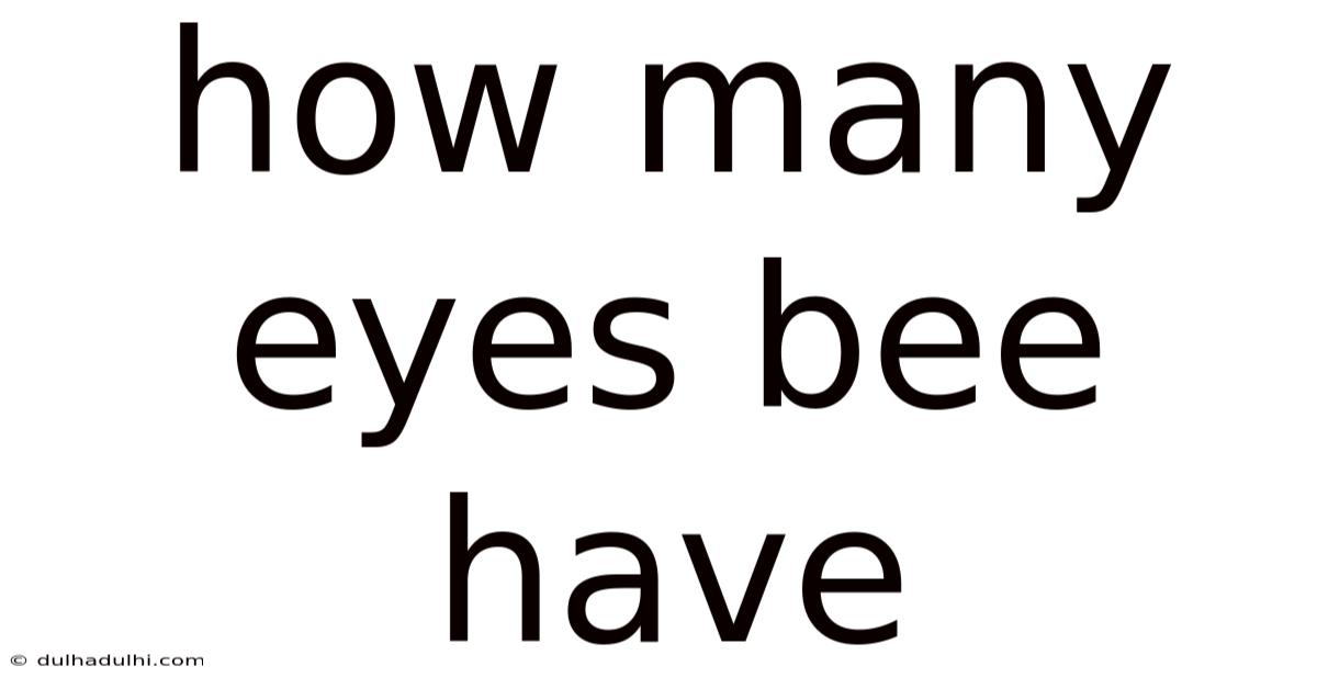 How Many Eyes Bee Have