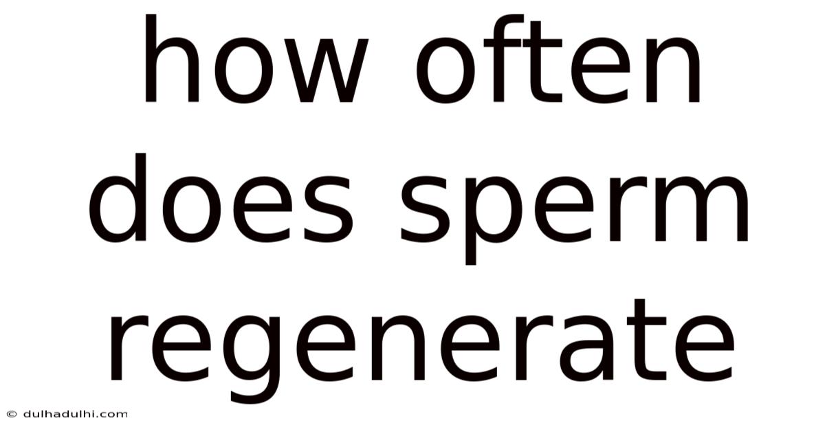 How Often Does Sperm Regenerate