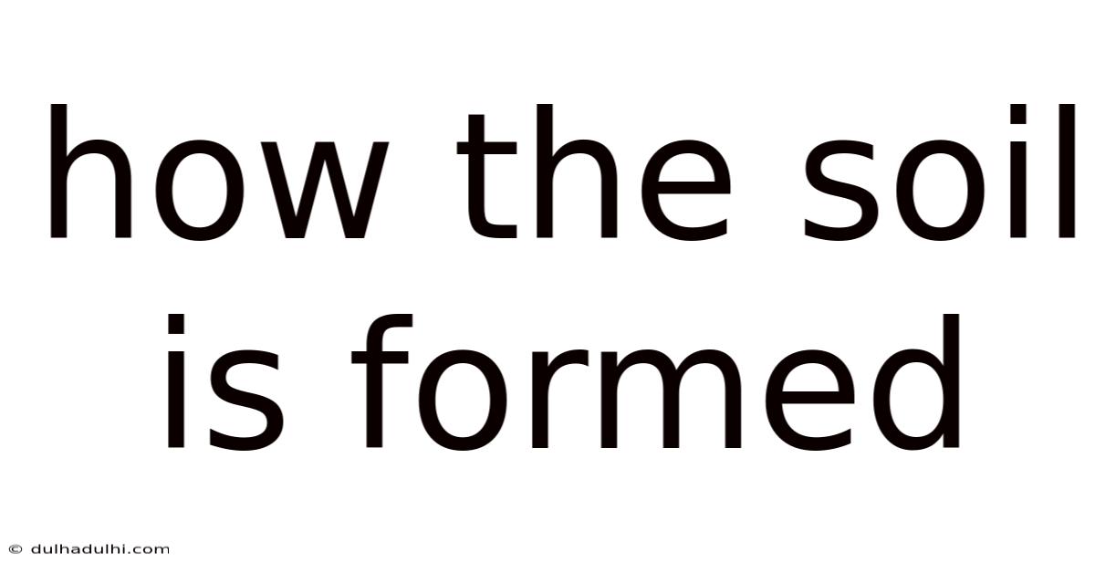 How The Soil Is Formed