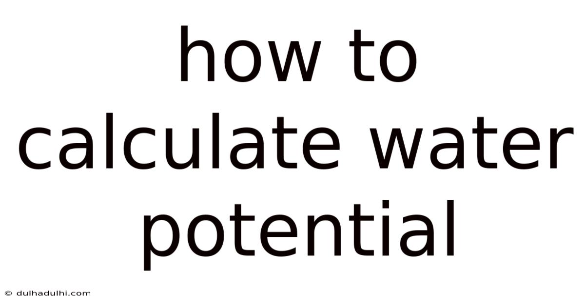 How To Calculate Water Potential