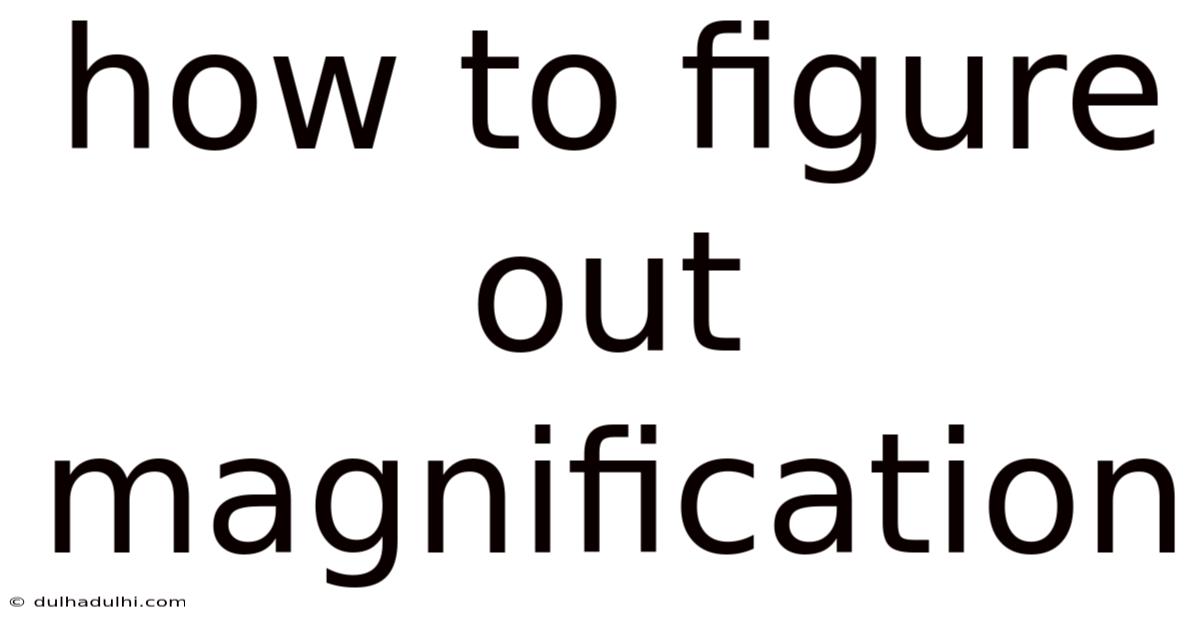 How To Figure Out Magnification