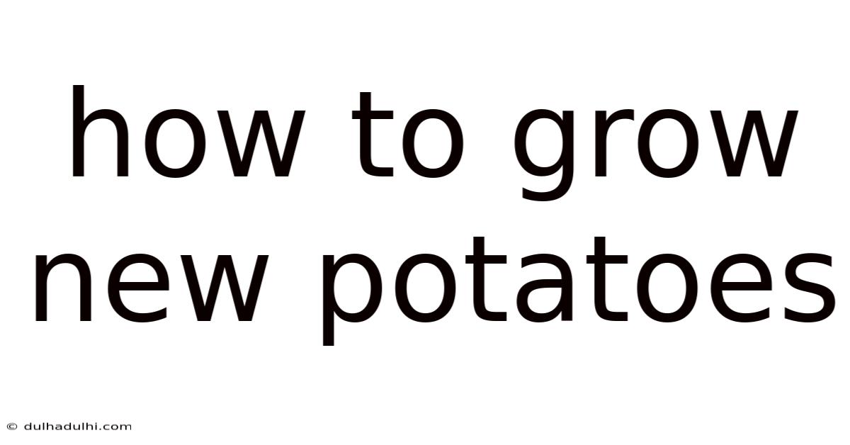 How To Grow New Potatoes