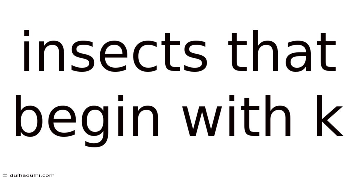 Insects That Begin With K