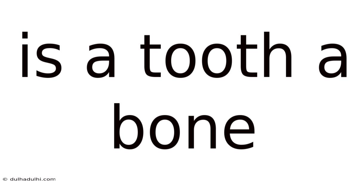 Is A Tooth A Bone