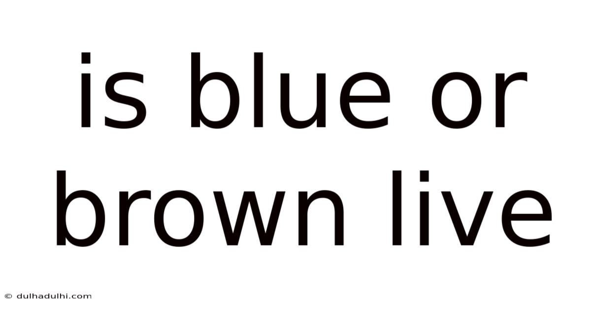 Is Blue Or Brown Live