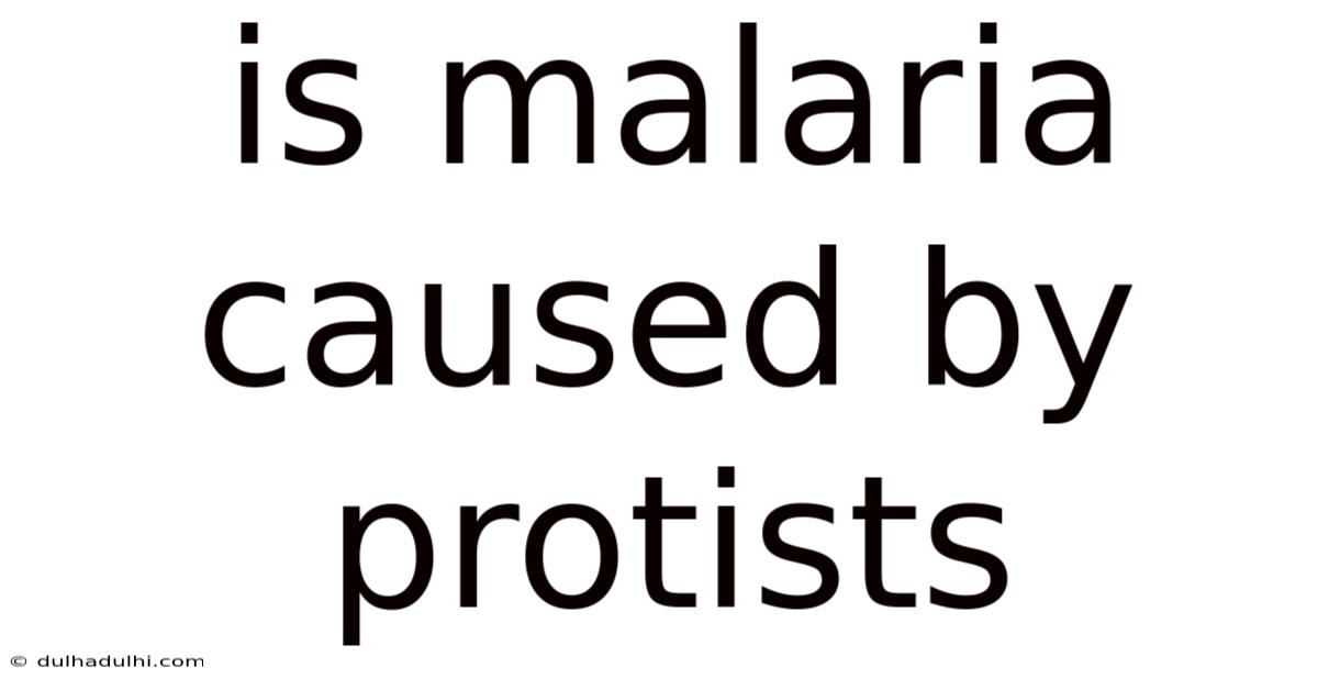 Is Malaria Caused By Protists