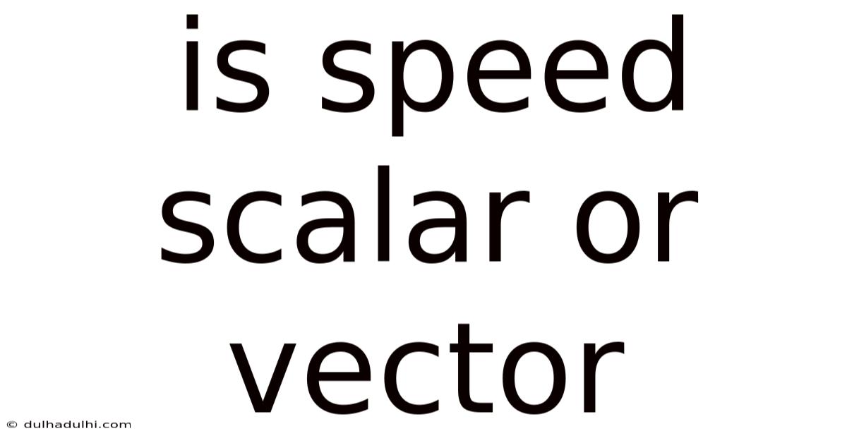 Is Speed Scalar Or Vector