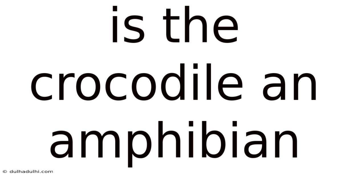 Is The Crocodile An Amphibian