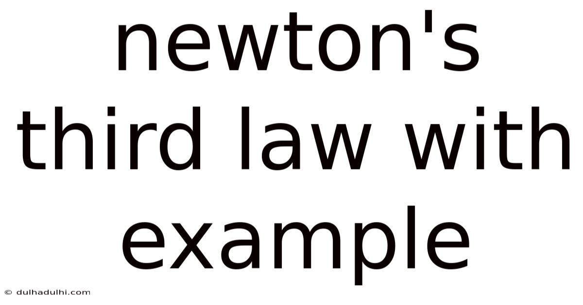 Newton's Third Law With Example