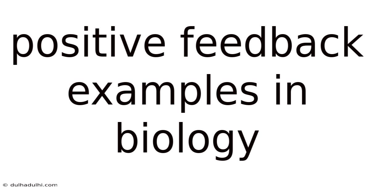 Positive Feedback Examples In Biology