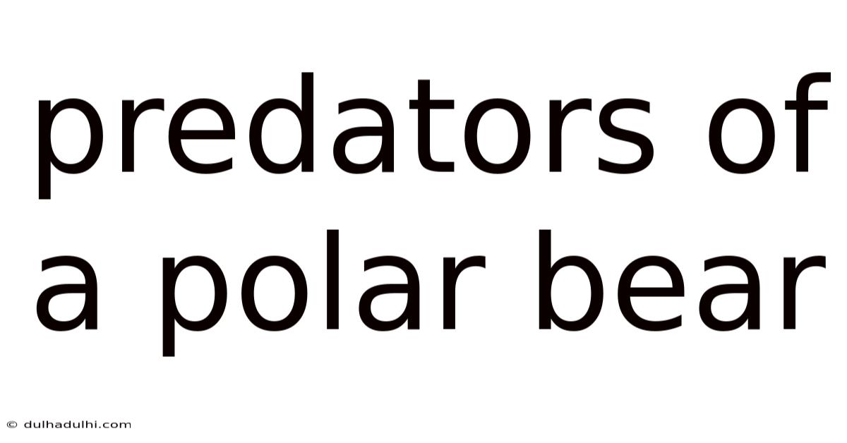 Predators Of A Polar Bear