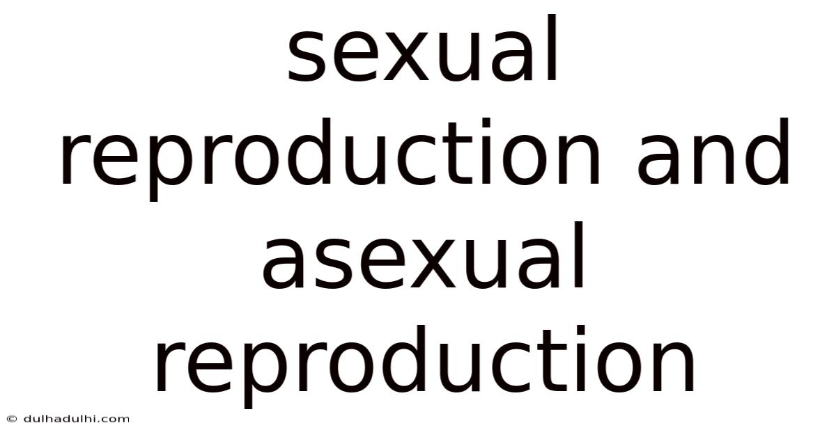 Sexual Reproduction And Asexual Reproduction