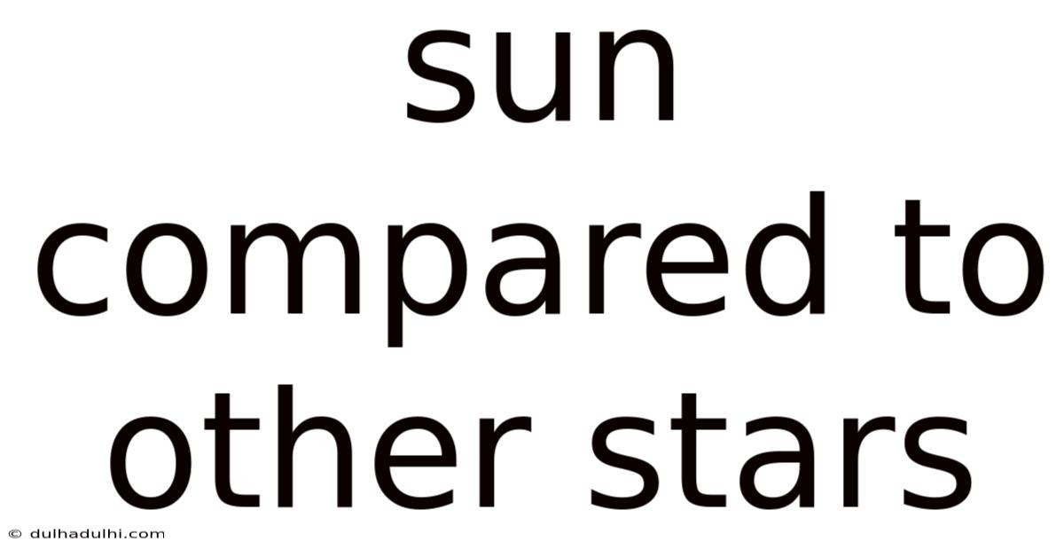 Sun Compared To Other Stars