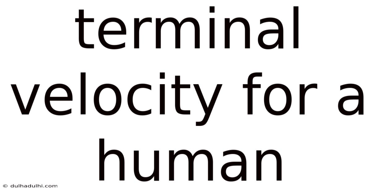 Terminal Velocity For A Human