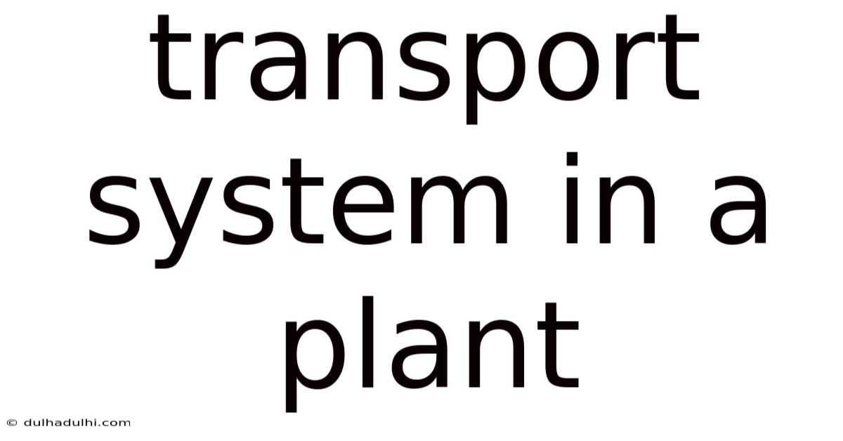Transport System In A Plant