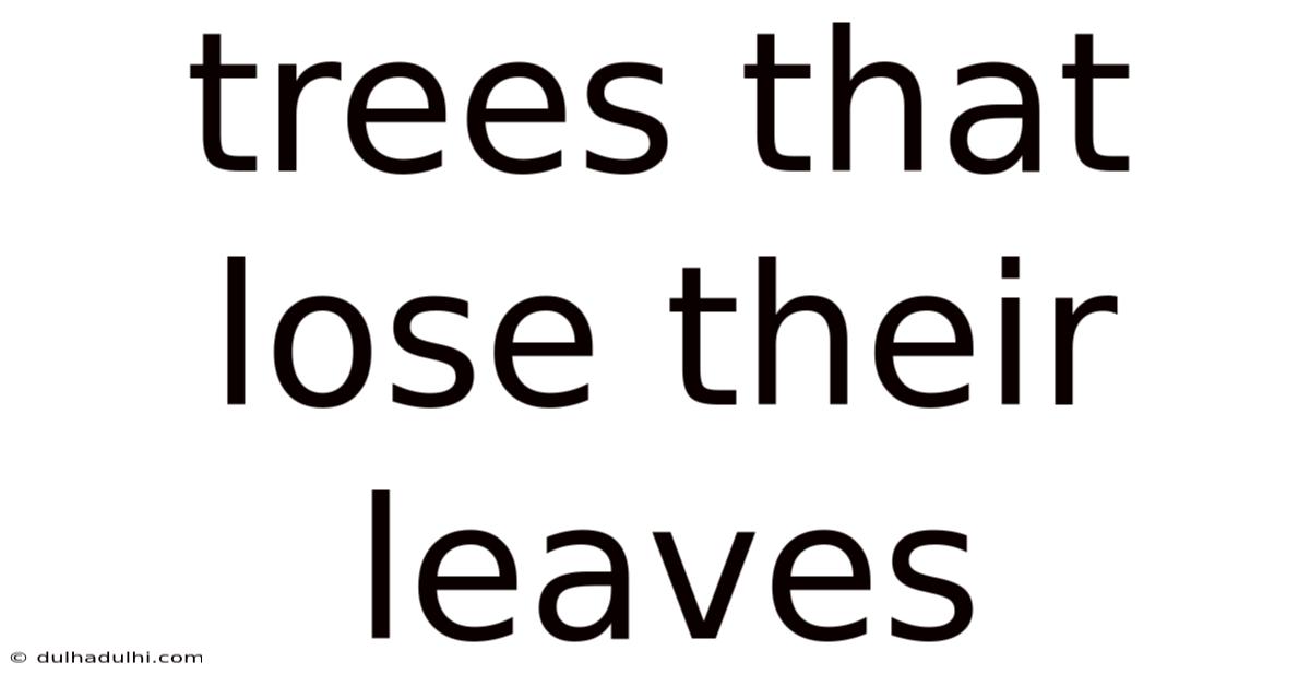 Trees That Lose Their Leaves